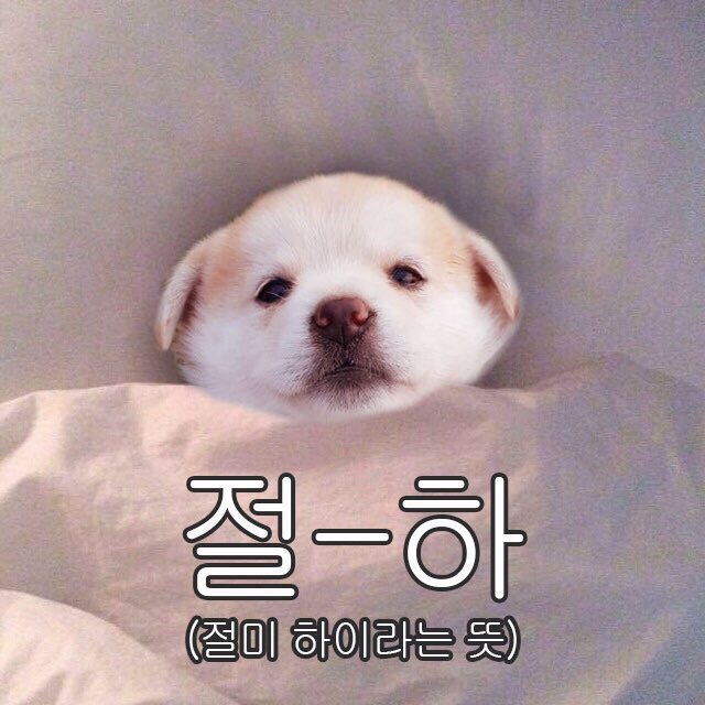 원플러스원카페 이미지