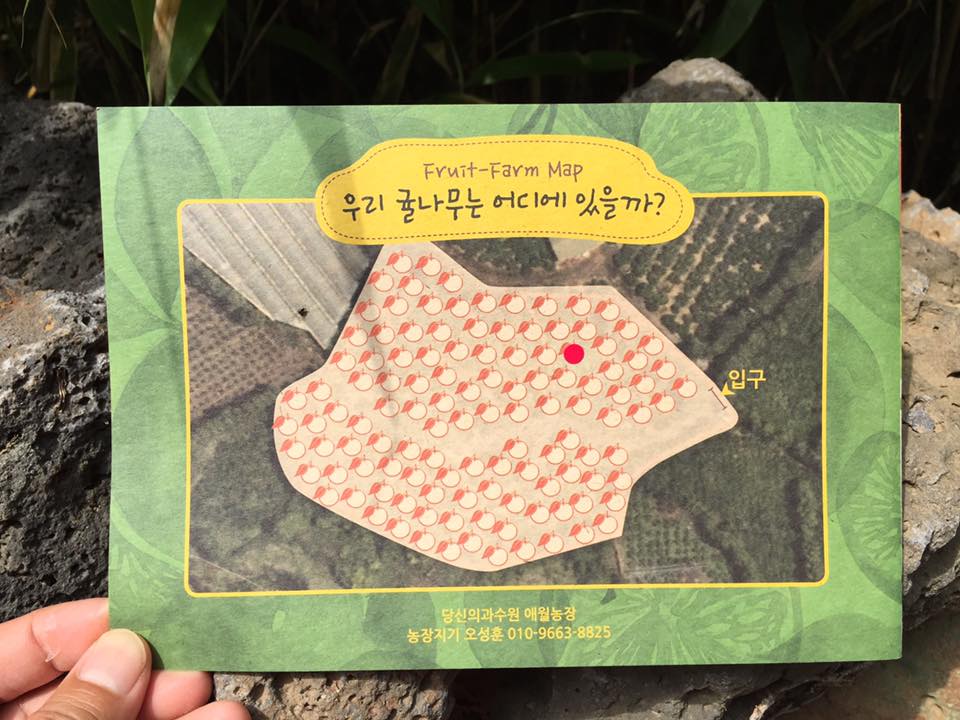 더과수원 이미지