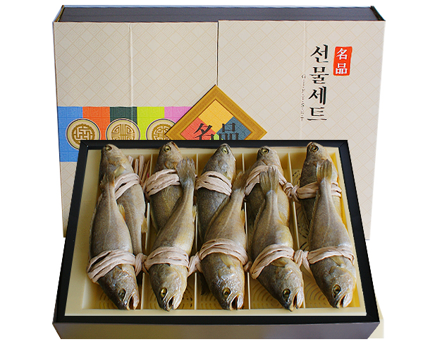 영광포장안전 이미지