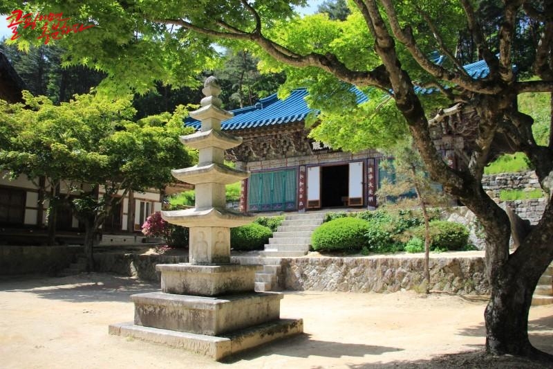 콜핑부산 이미지