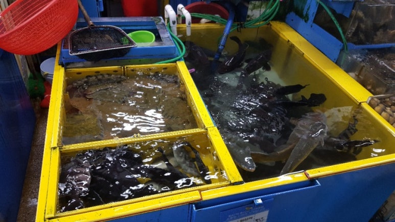 덕화상회 이미지