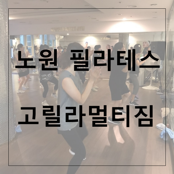 고릴라GYM 이미지