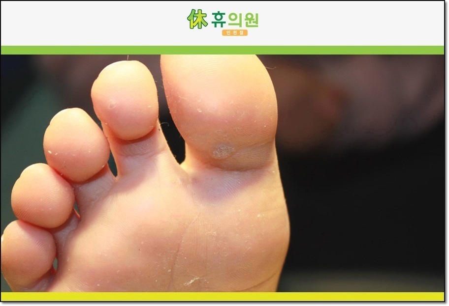 휴의원 이미지