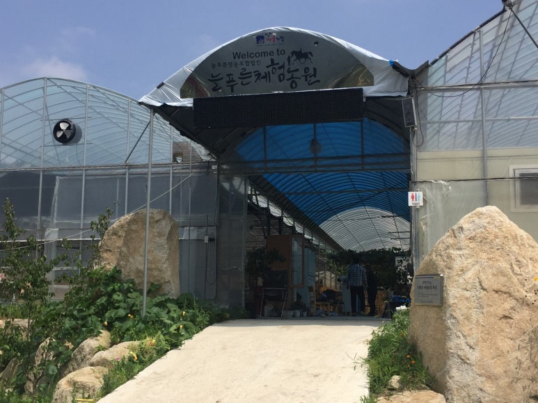 법인늘푸른농장 이미지