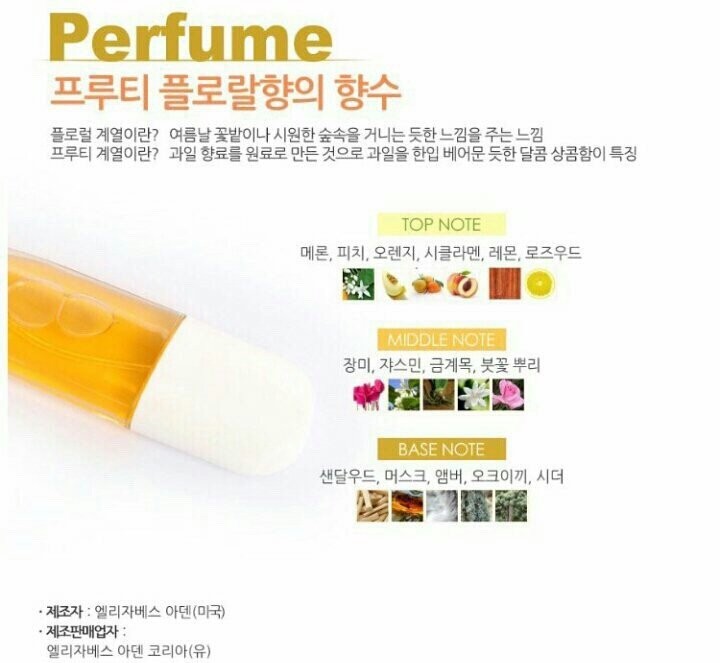 선플라워 이미지