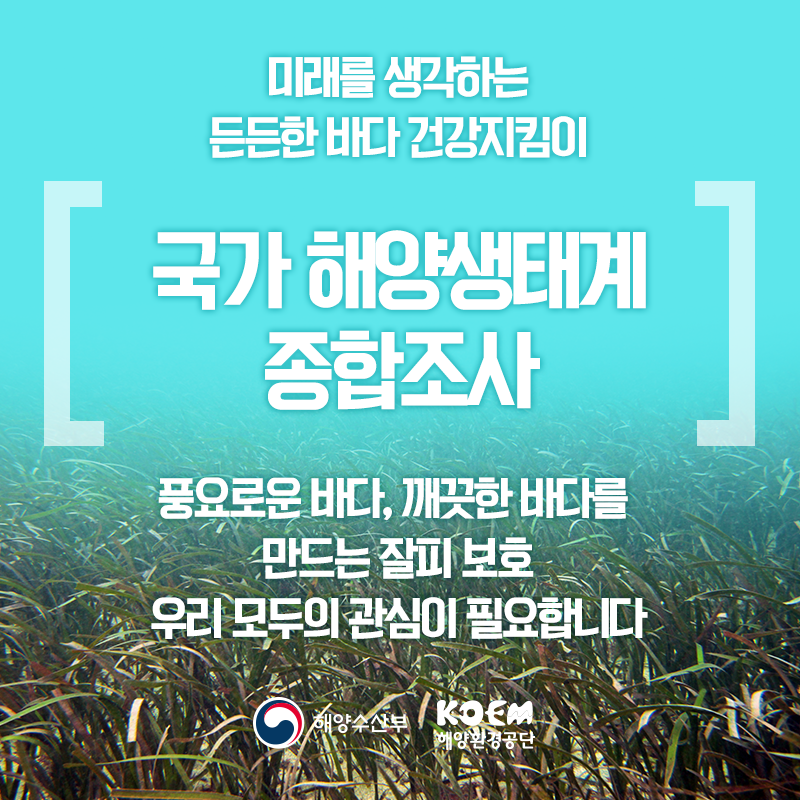 다밀림 이미지