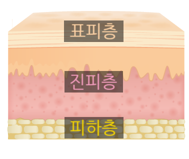 지인뷰티 이미지