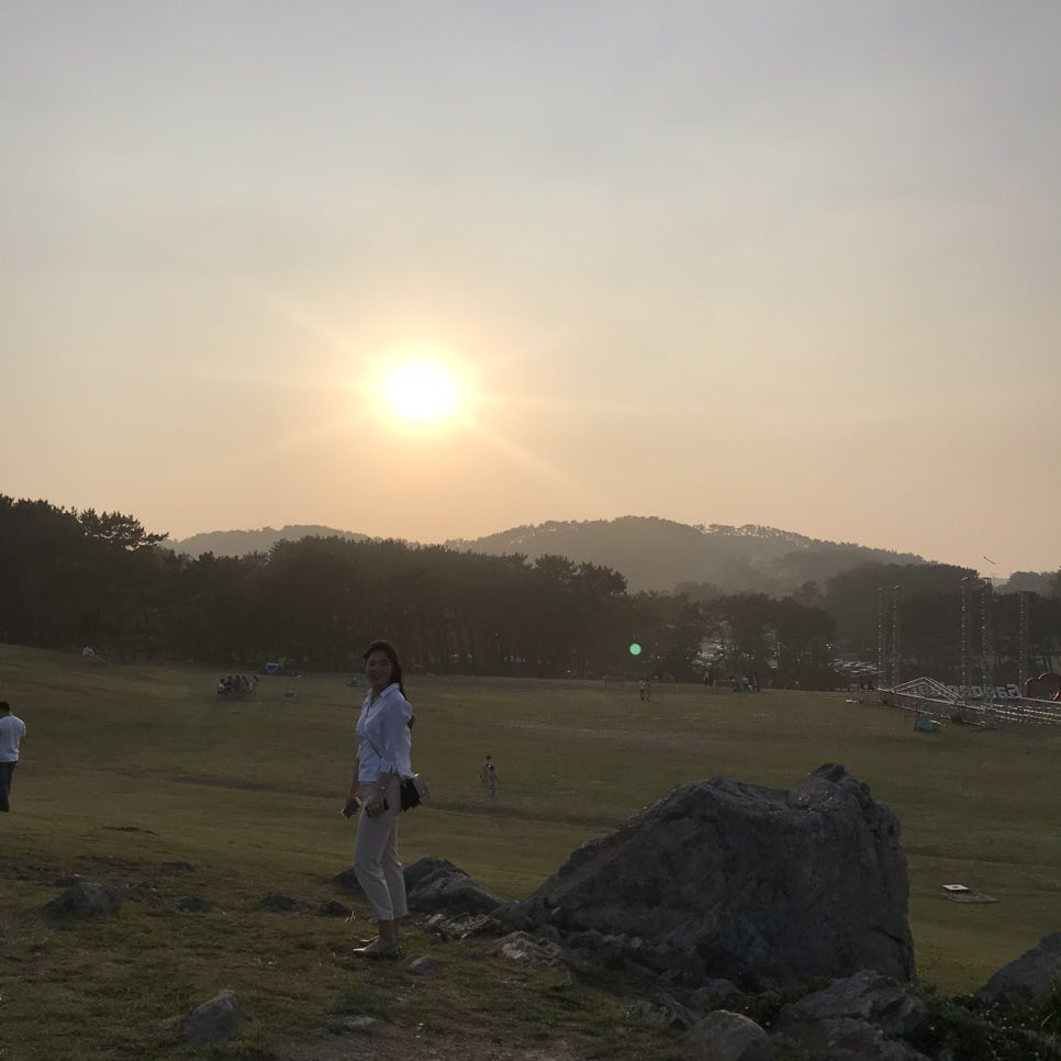 몽떼 이미지