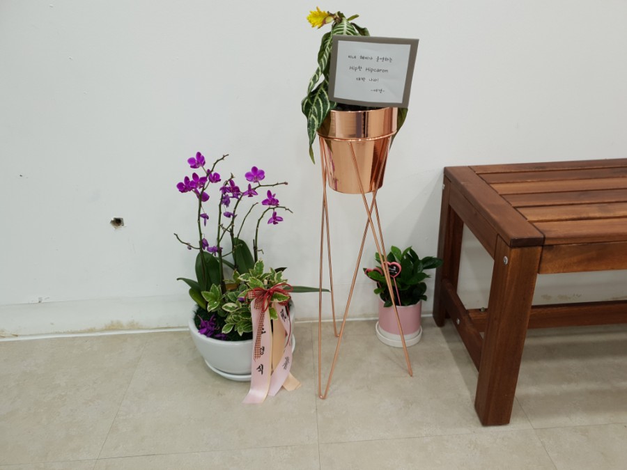 힙카롱 이미지