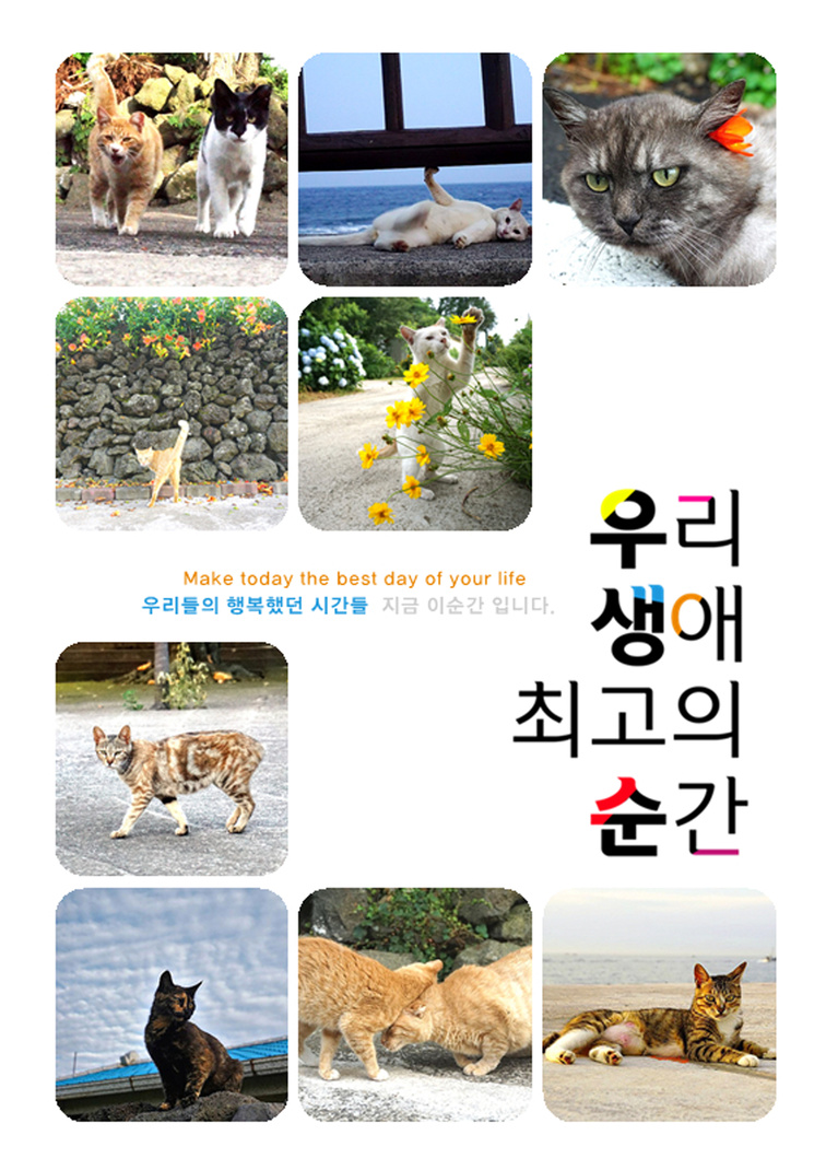 정방기획 이미지