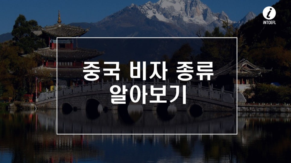 비자노아 이미지