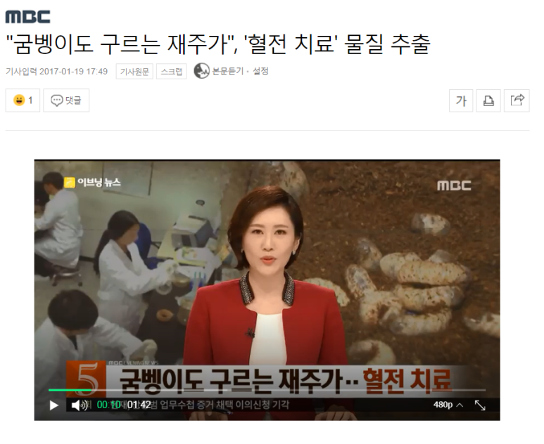 태양굼벵이 이미지