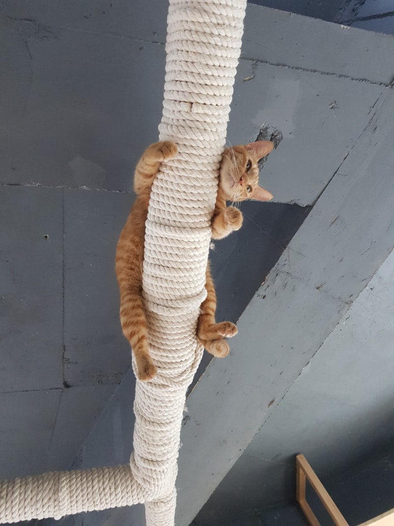 거목카페 이미지
