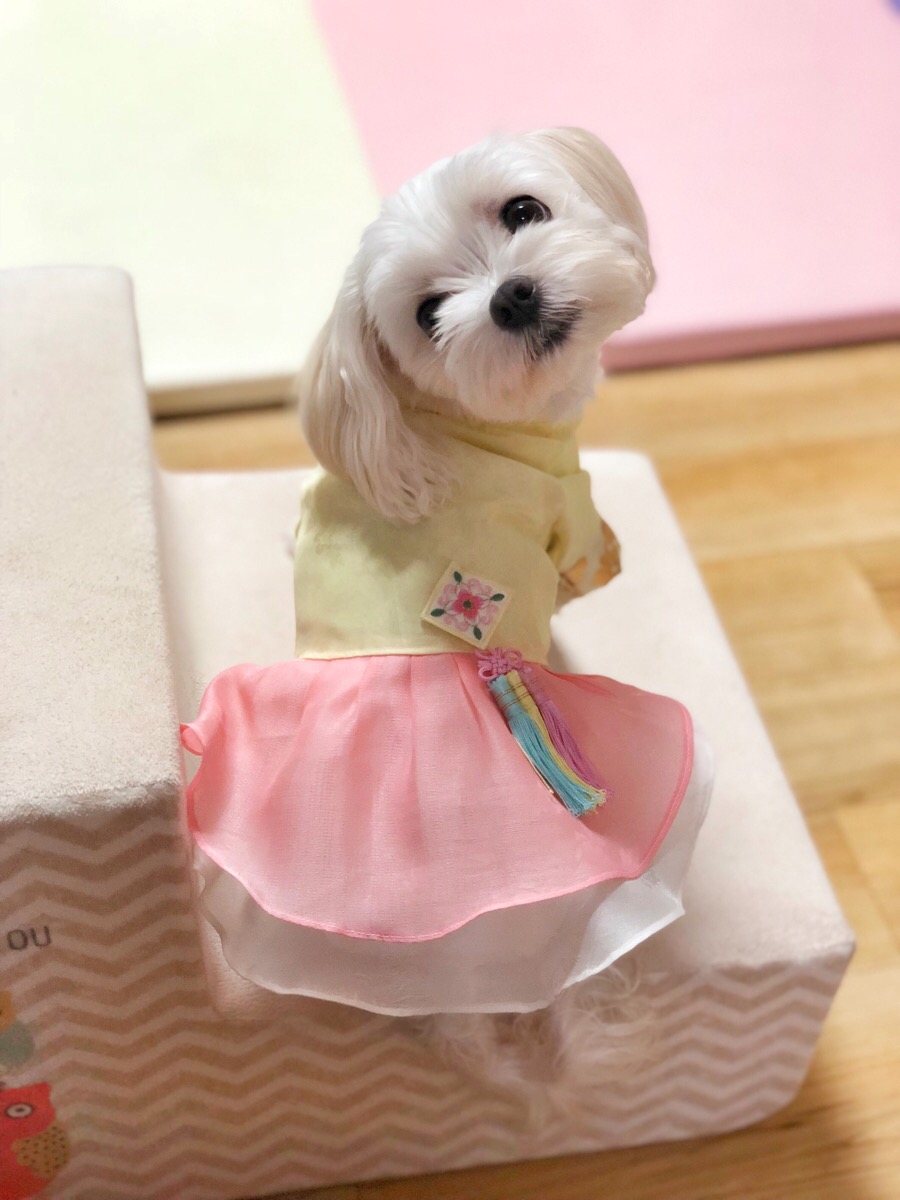 몽실상회 이미지