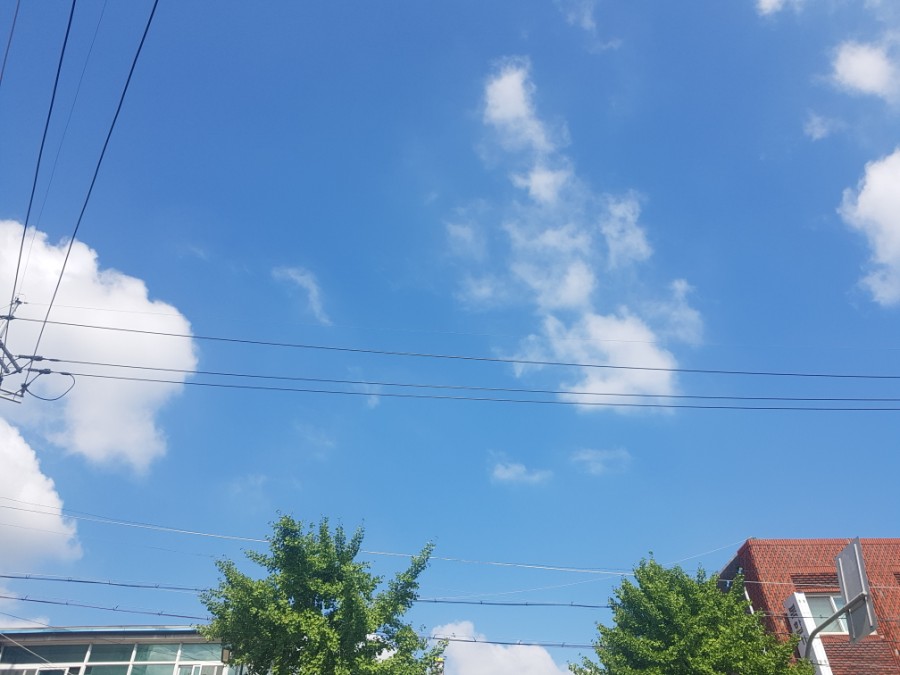 전주한옥찜닭 이미지
