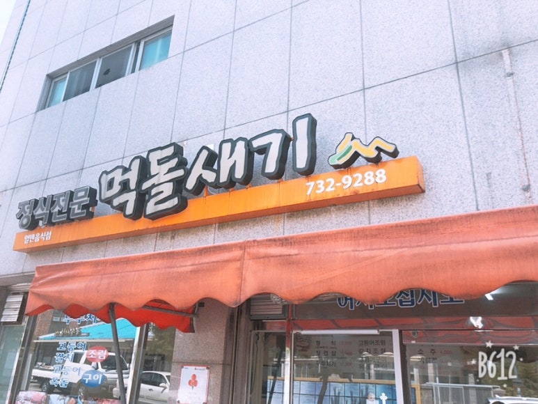 먹돌새기 이미지