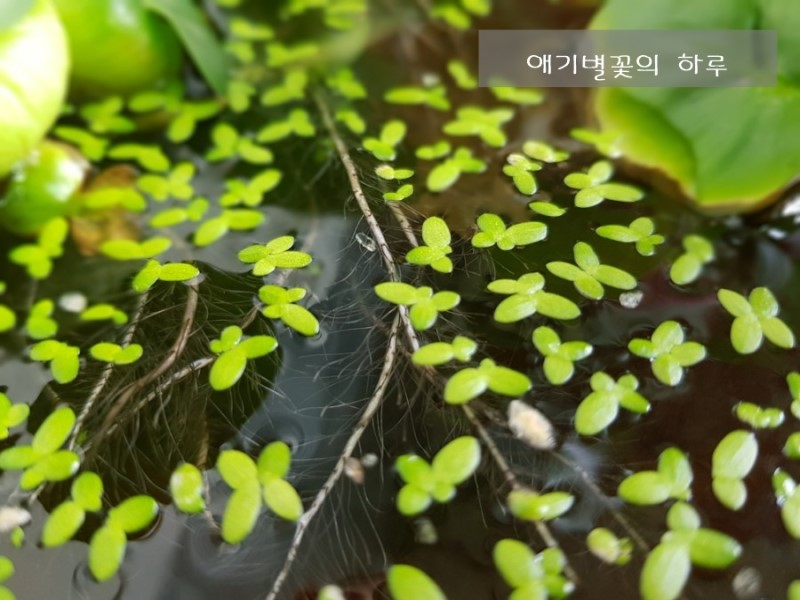 예쁨을채우다 이미지