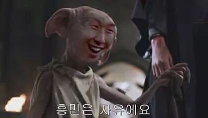 로꼬꼬 이미지