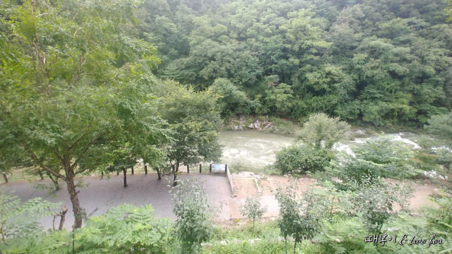 와라캠핑장 이미지