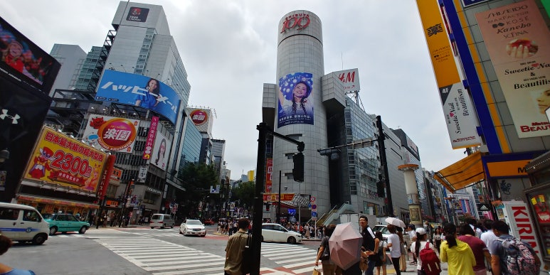 펭귄레코드 이미지