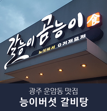 스케디오디자인 이미지