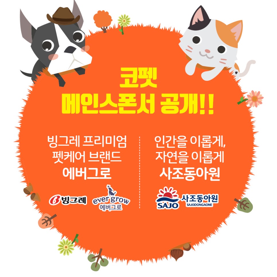 메인쇼 이미지