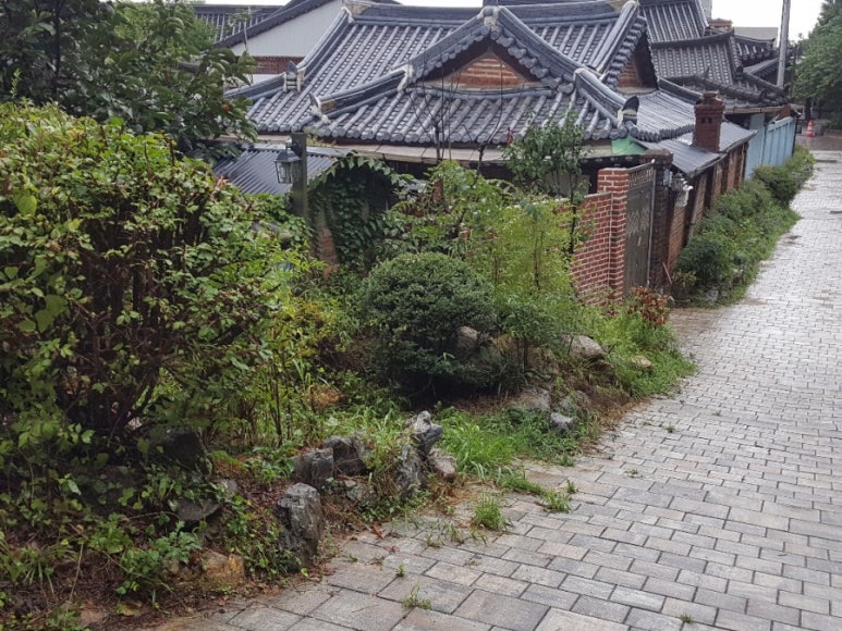 달동네꼬지 이미지