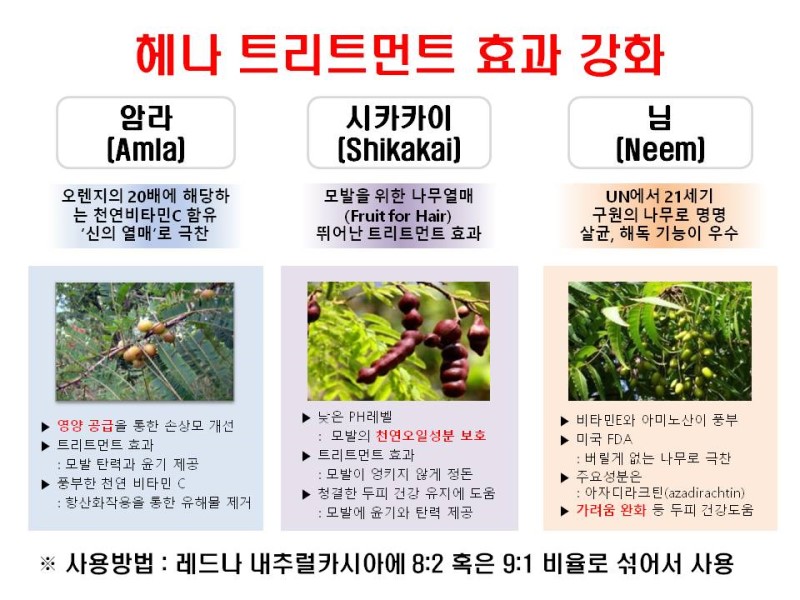 헤나살롱염색 이미지