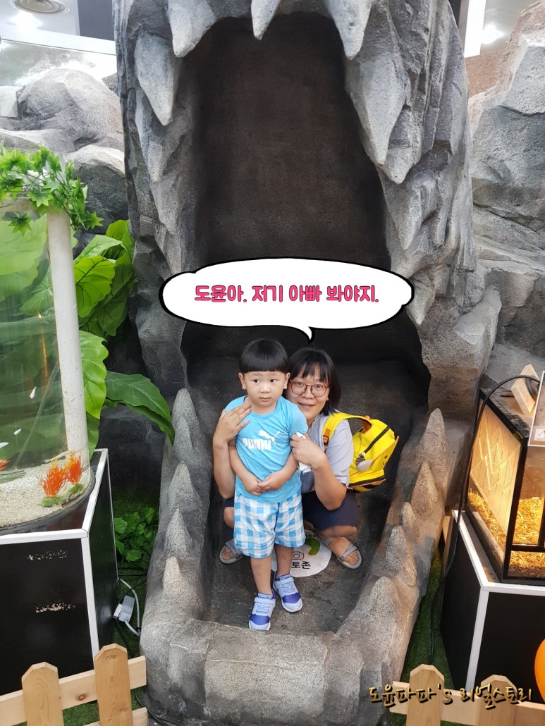 아이니몰 이미지