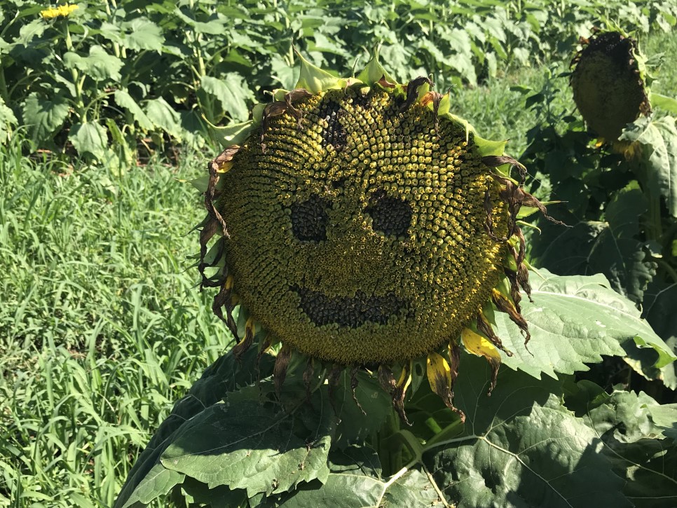 쉼터올래 이미지