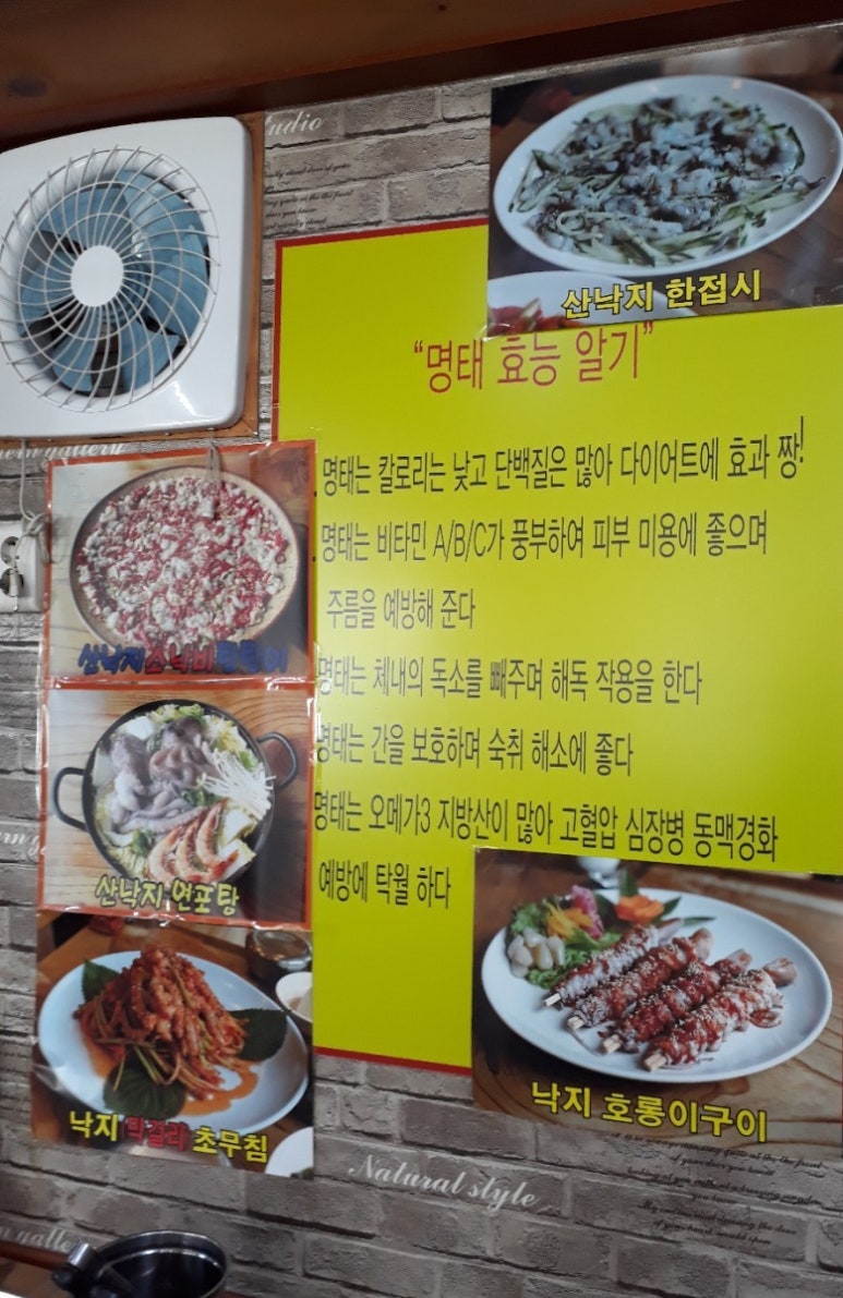 신안갯뻘낙지 이미지
