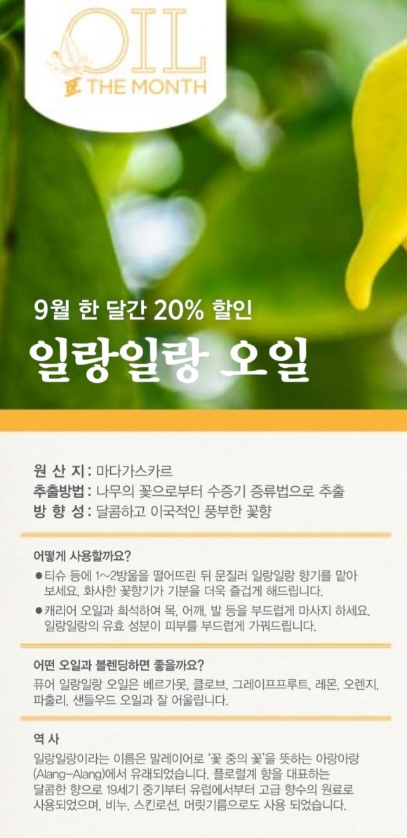 일랑일랑 이미지