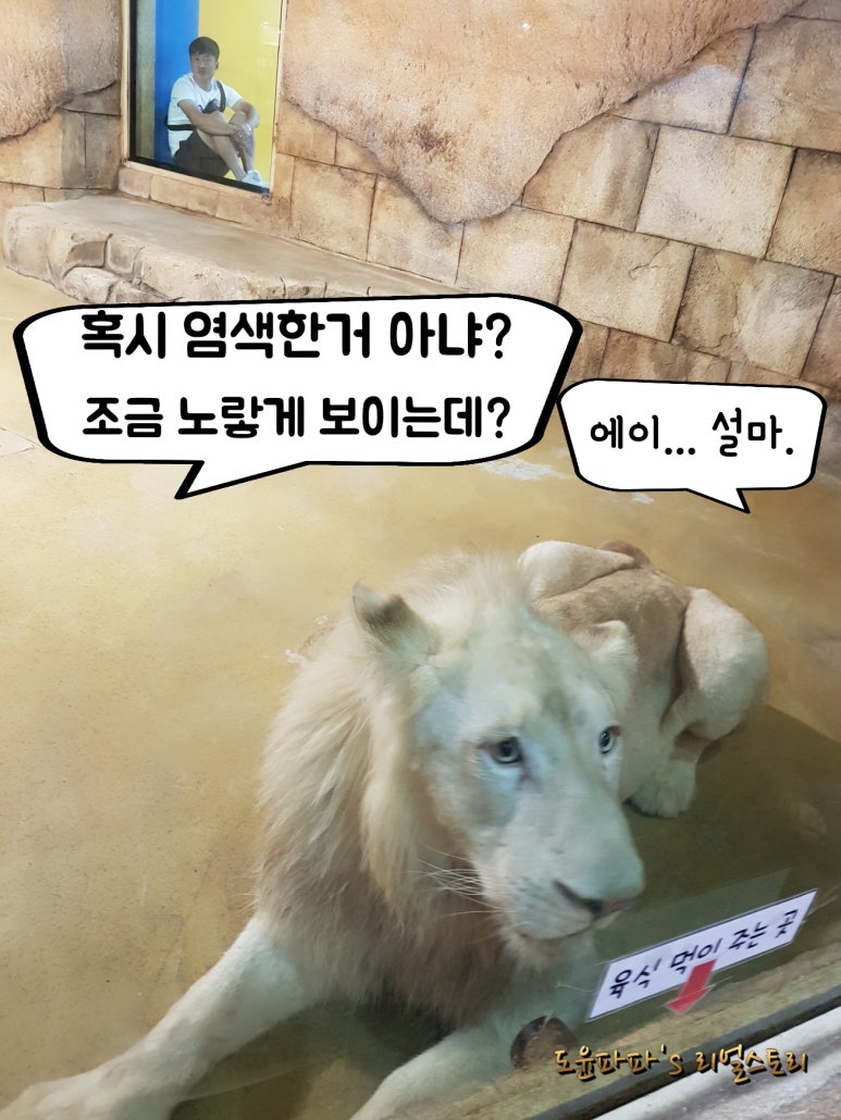 아이니몰 이미지