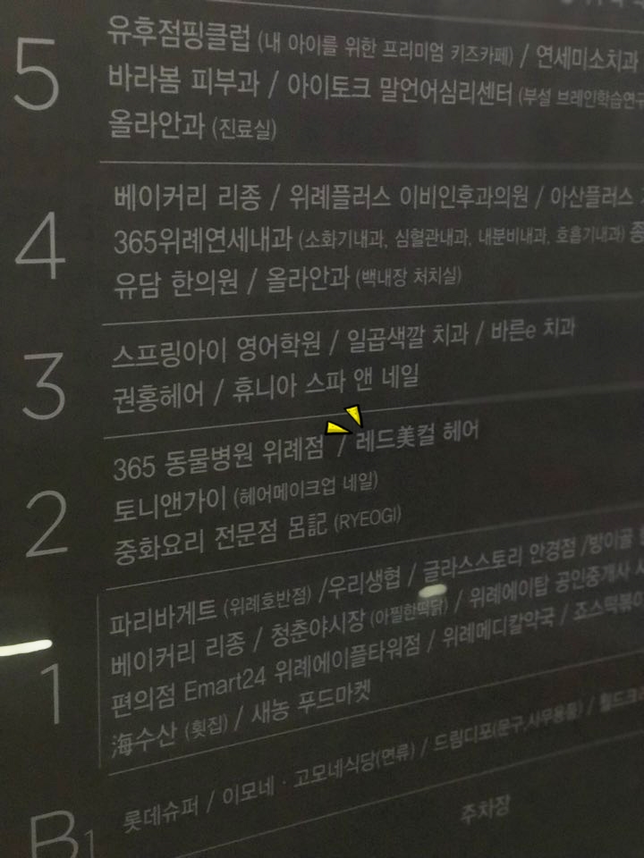 레드미컬헤어 이미지