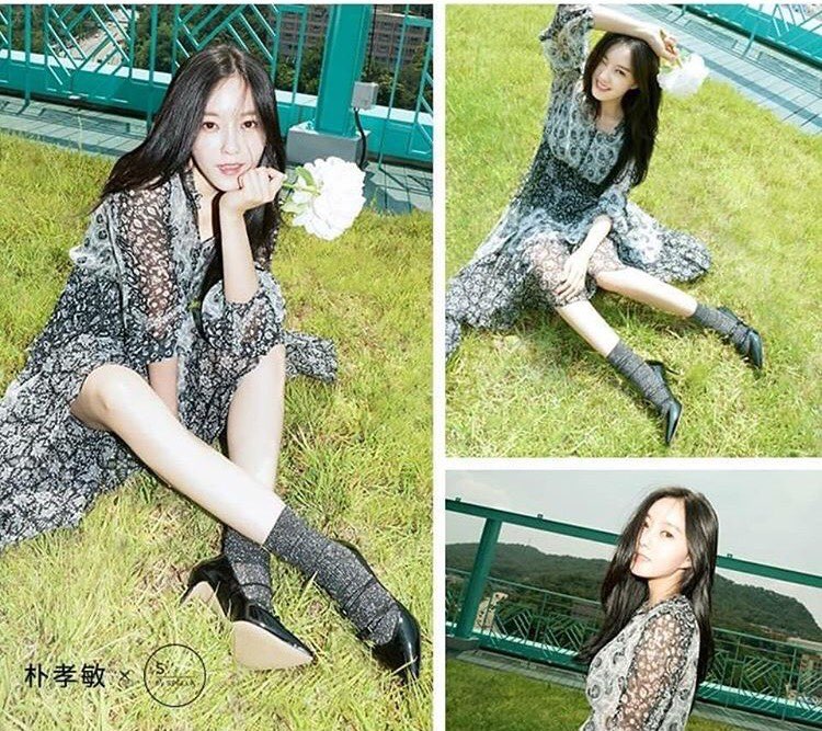 티아라s 이미지