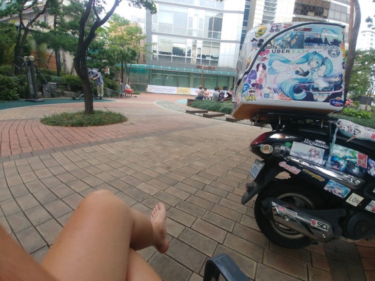 피서플라이 이미지