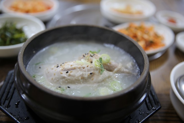 남해복어 이미지