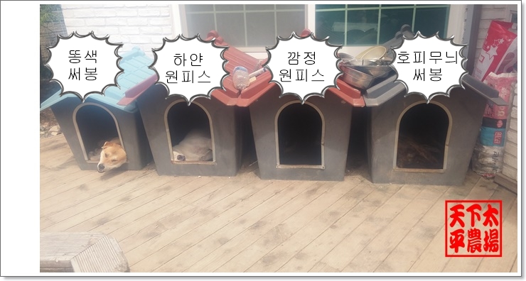 깜정머리 이미지