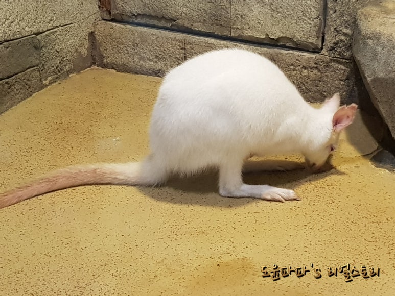 아이니몰 이미지