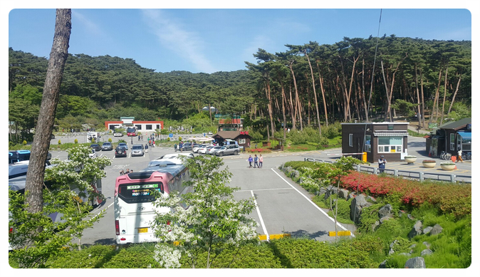 보전식당 이미지