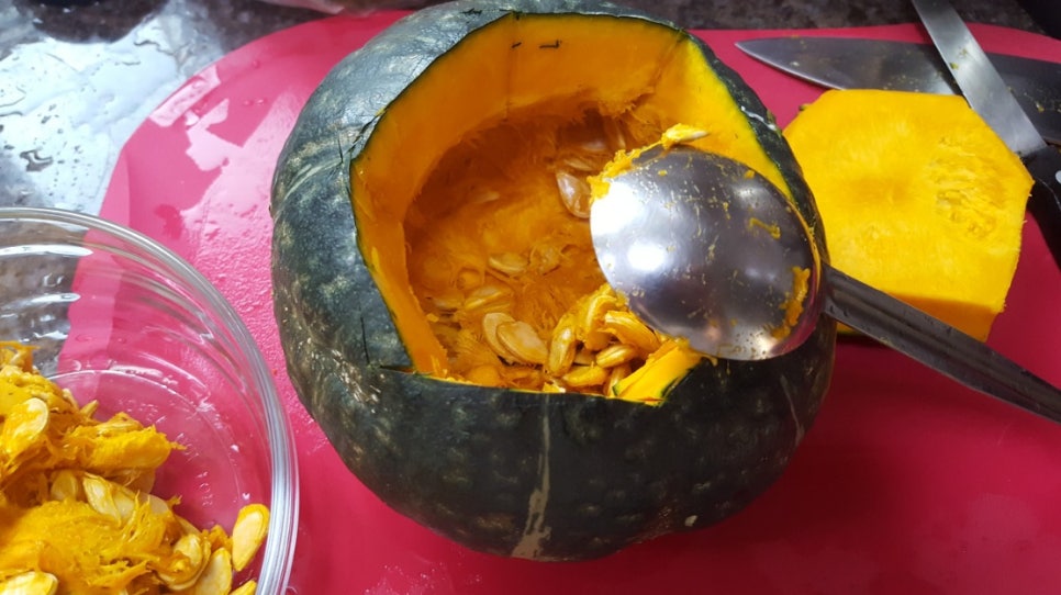 이엔컴퍼니 이미지