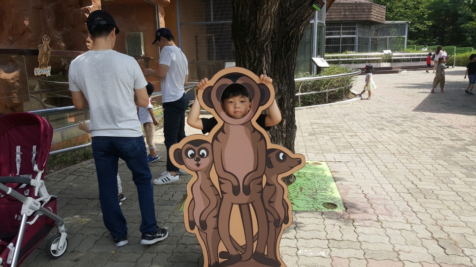동물원아이 이미지