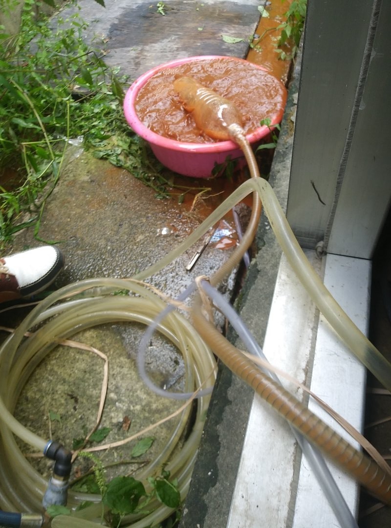 하수구119고압세척 이미지