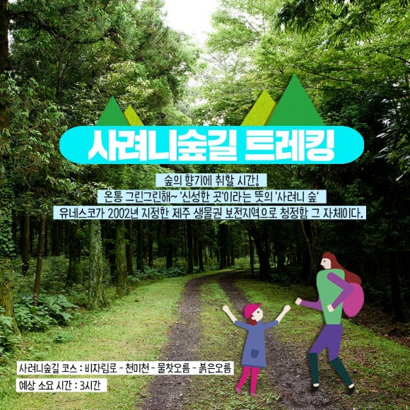 사려니숲 이미지