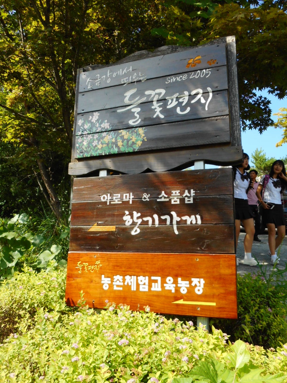 주문진고등학교 이미지