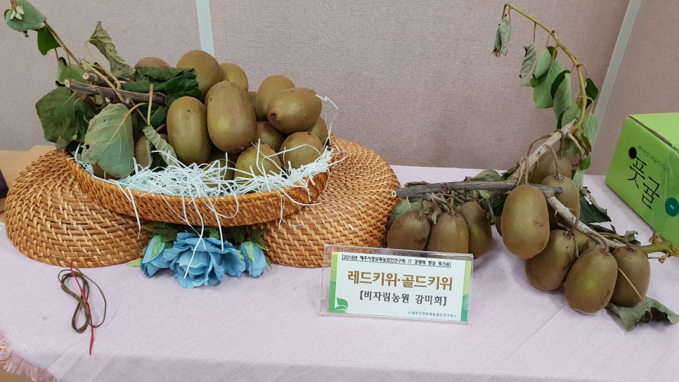 제주호담농원 이미지