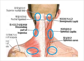 신성한의원 이미지