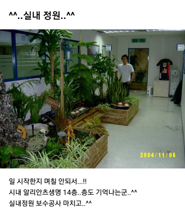 꽃배달2004플라워 이미지