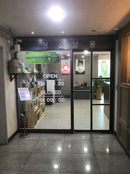 청춘헤어살롱 이미지