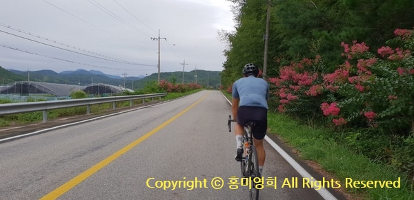 네비팔이 이미지